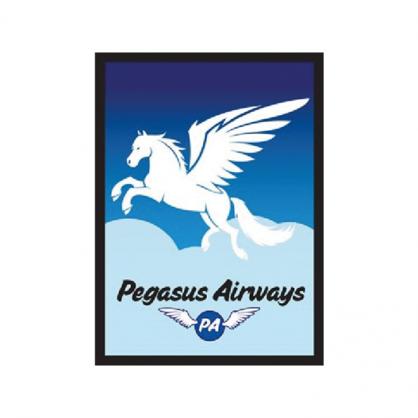 Legion Premium Sleeves Card Supplies Standard Size Gloss Pegasus Air 50 Pieces